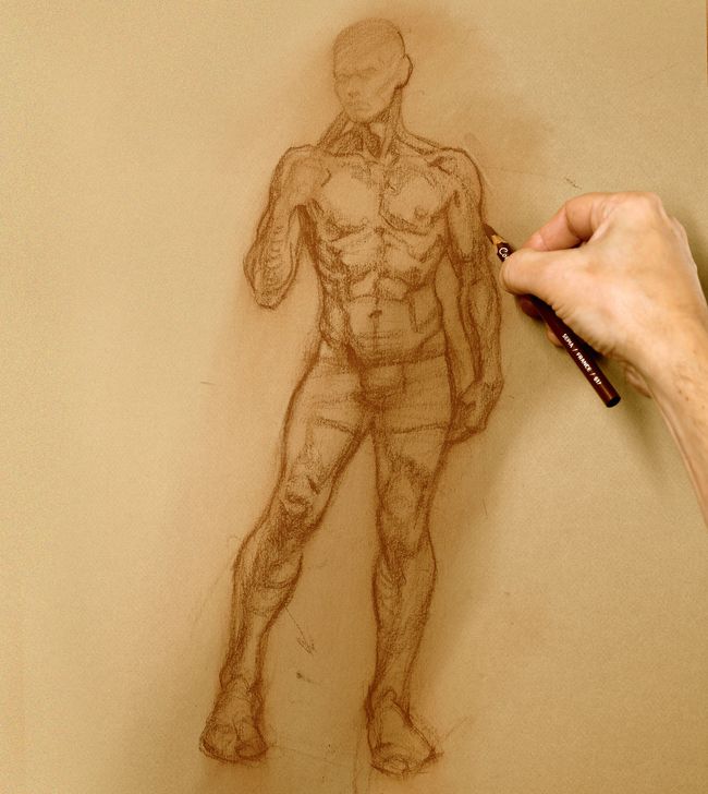 Figure drawing Male The beginner's guide to figure drawing Page 2