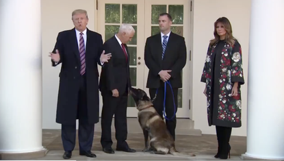 Donald Trump and Conan Dog.
