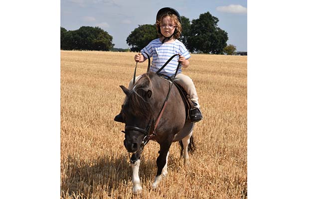 2Thelwell