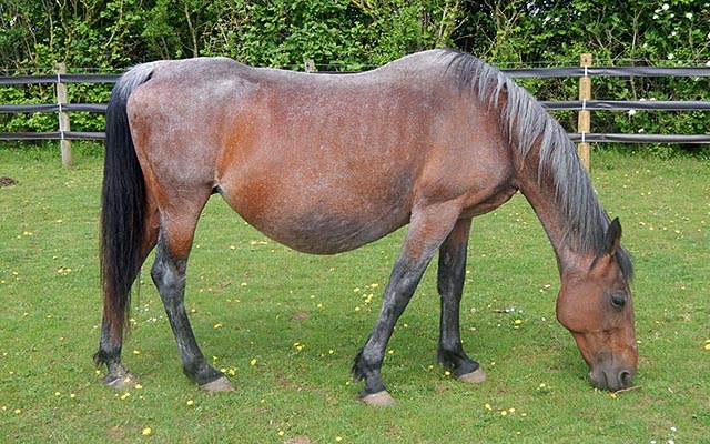 Cinders-body-may16.jpg