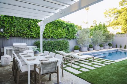 backyard with swimming pool and potted olive trees