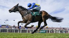 Pictured jockey Harry Skelton and racehorse Langer Dan.