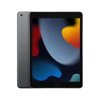 Apple  iPad (Silver, 9th gen, A13, 10.2-inch, 256GB)