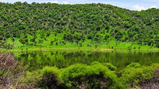 Tswaing crater reserve is rich in vegetation and wildlife.