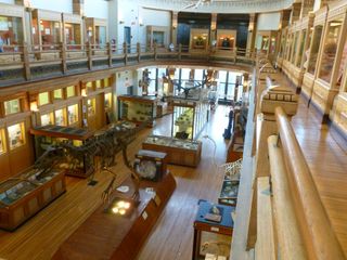 Redpath Museum in Montreal