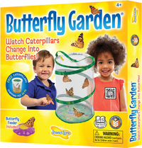 Insect Lore Butterfly Growing Kit: $27.99