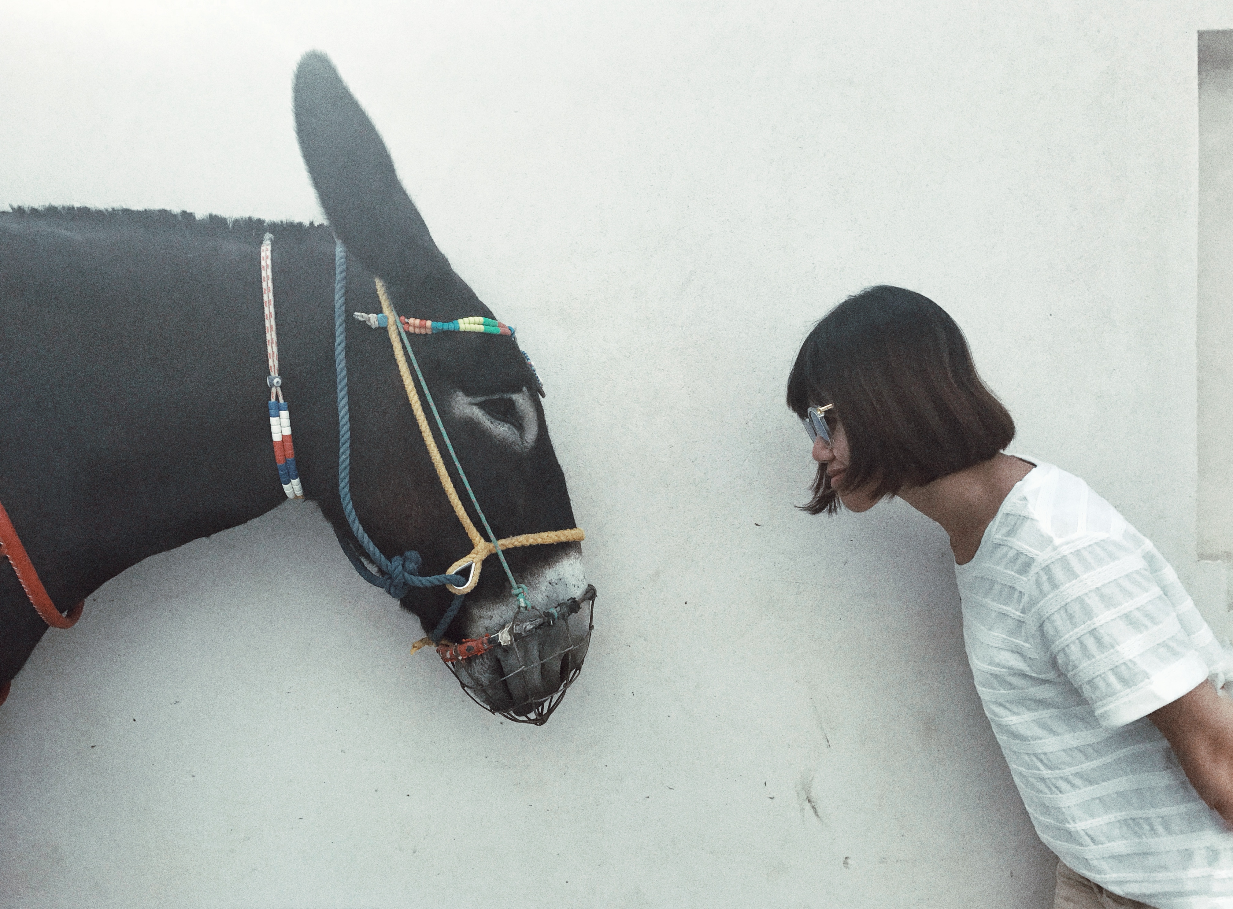 A side-on photo of a woman leaning towards a horse's head