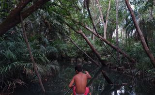 View of a rainforest with a river. There is a shirtless person wearing pink shorts rowing in a canoe