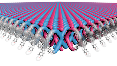 Illustration of the new two-dimensional mechanically interlocked polymers. 