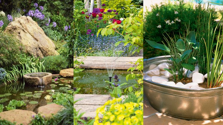 how to build a pond images of ponds in gardens
