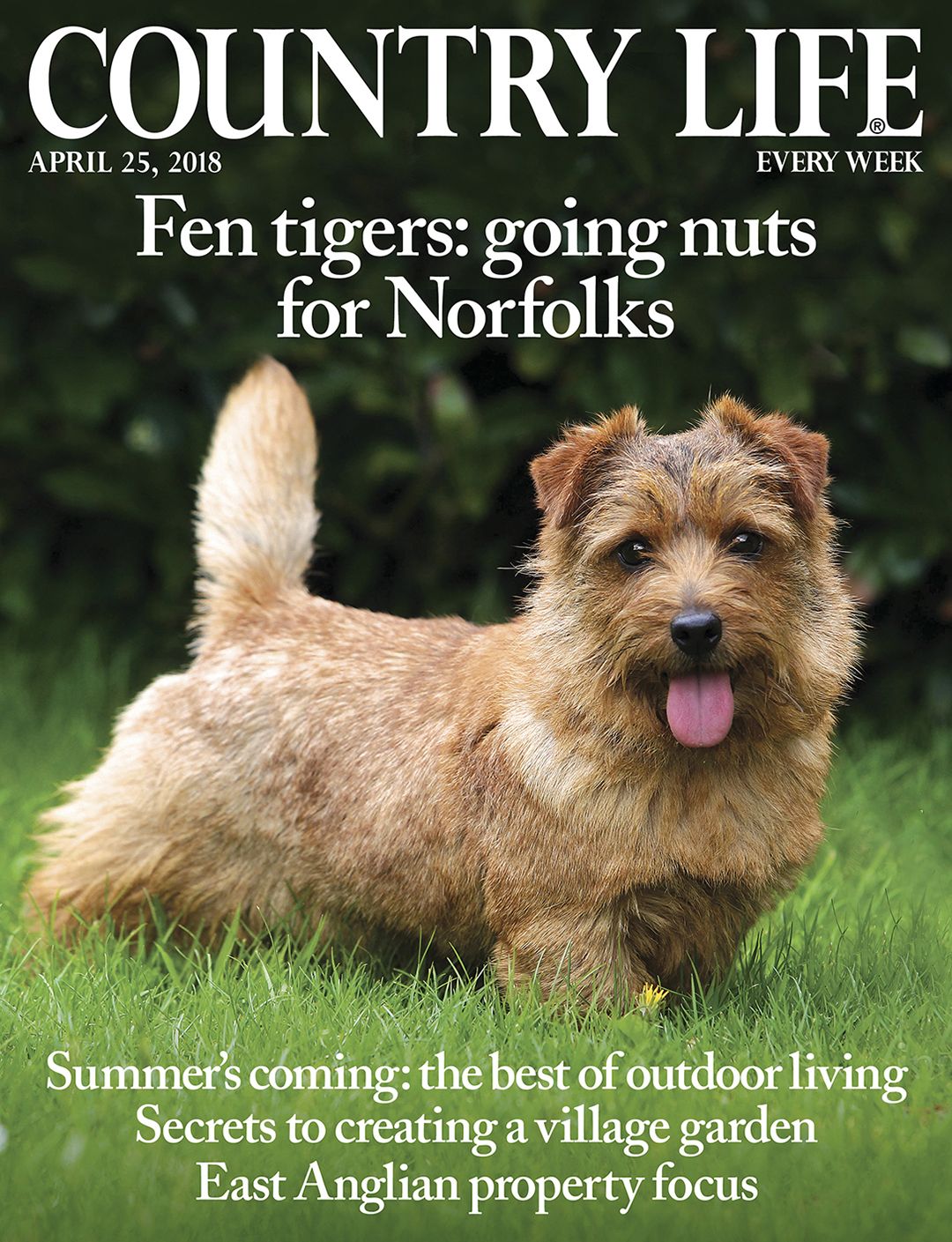 Country Life April 25 2018