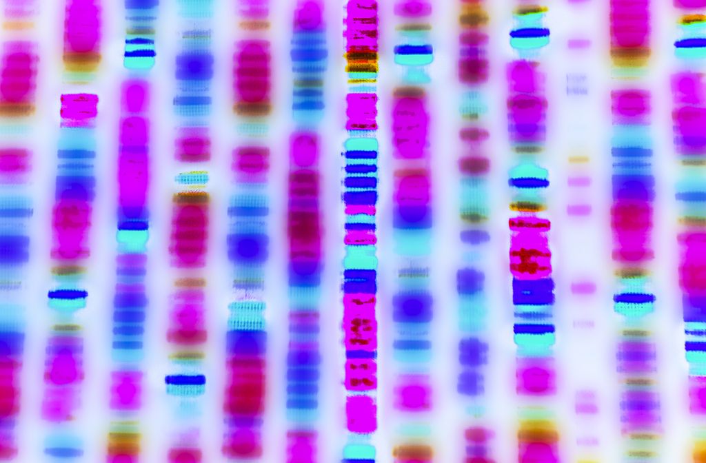 I Took 9 Different DNA Tests And Here s What I Found Live Science