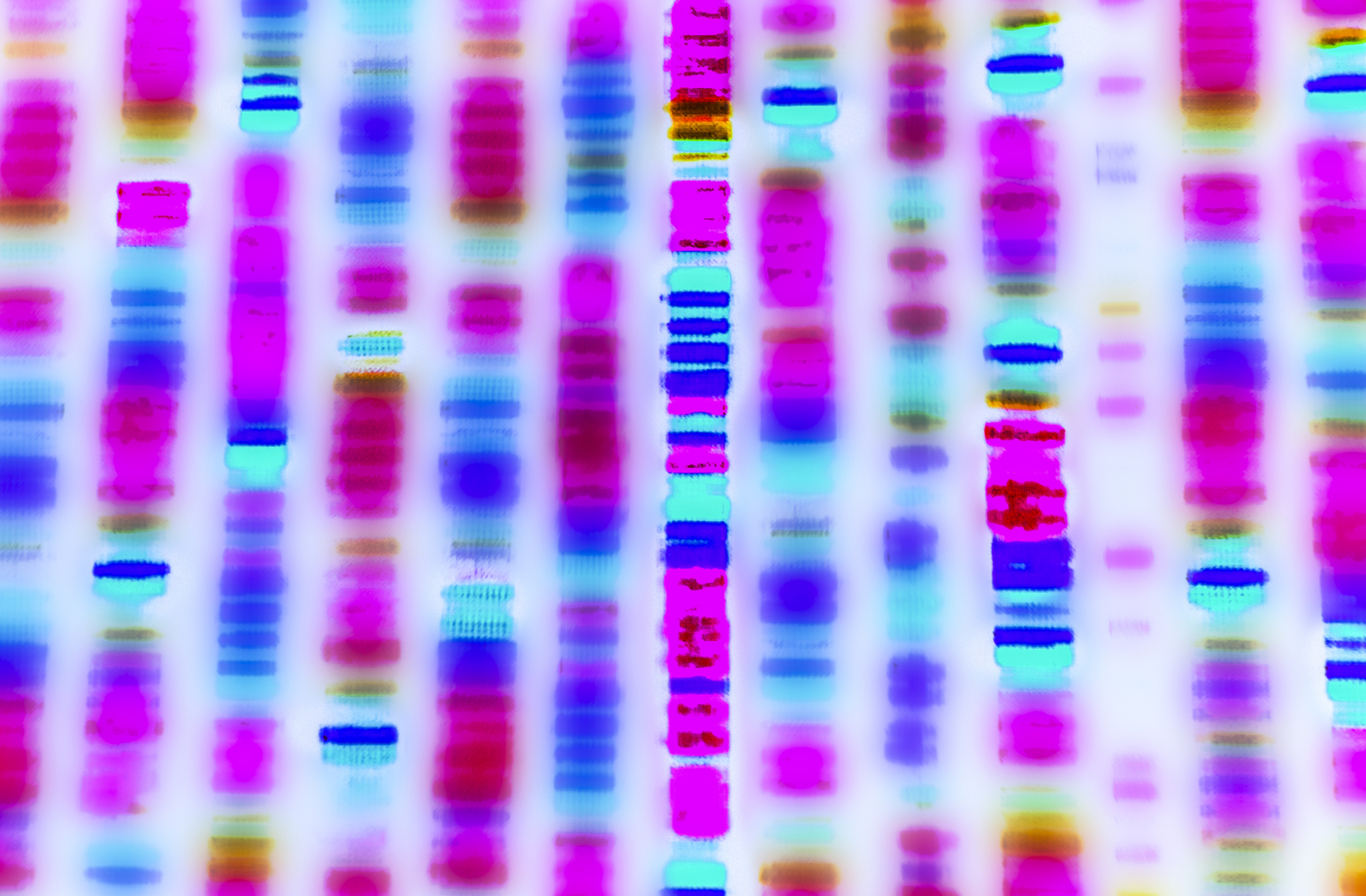 DNA Test Price in Thailand 