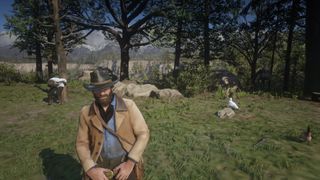 Red Dead Redemption 2 PC low settings