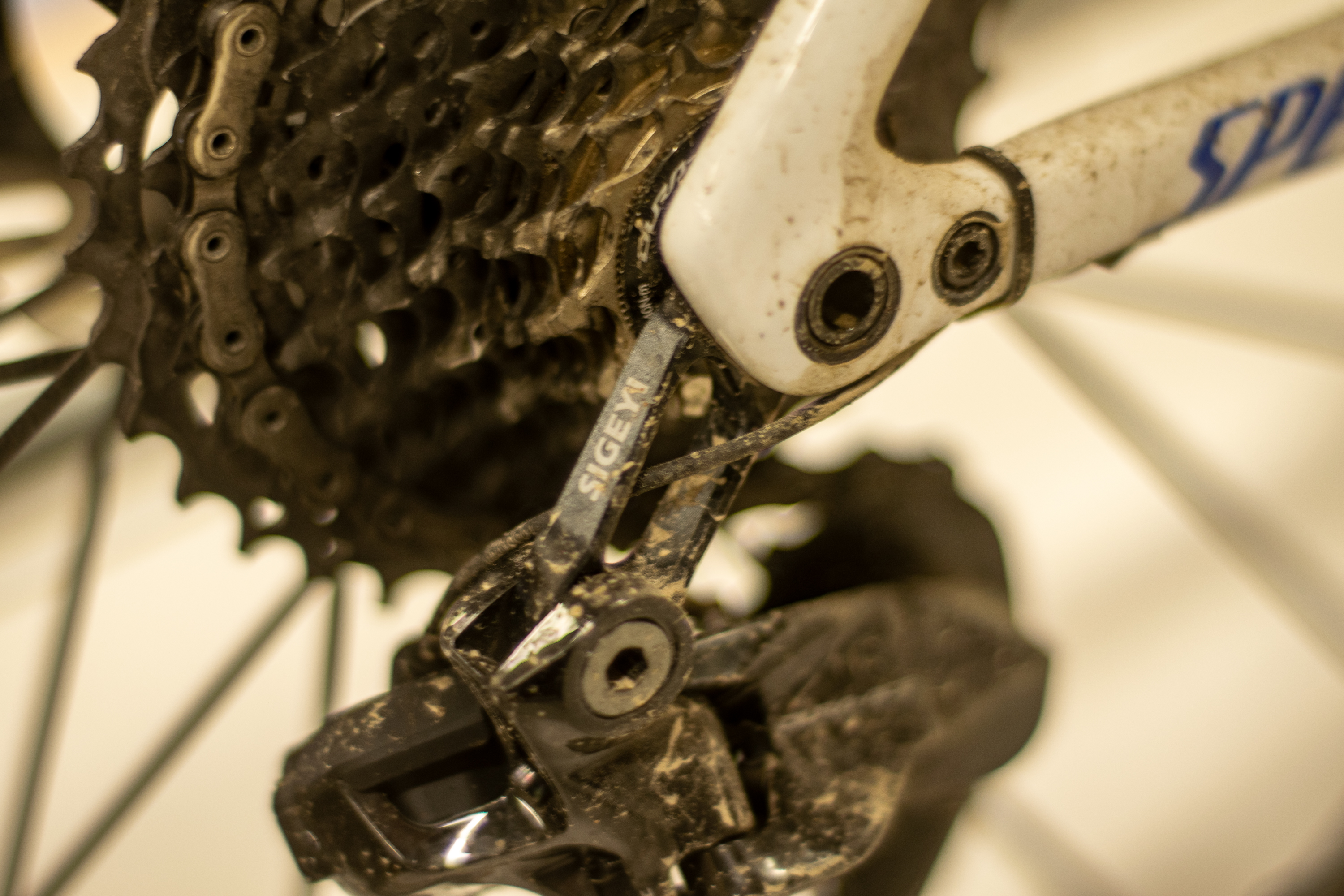 Tarmac SL8 S-Works especializado de Demi Vollering