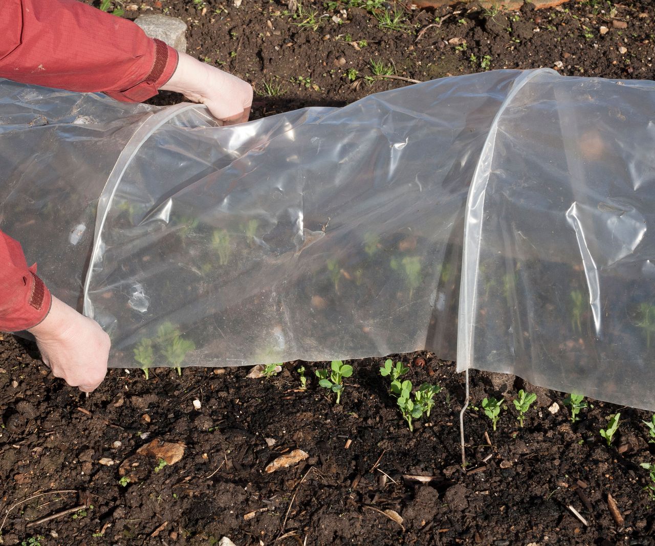 DIY greenhouse ideas 10 budgetfriendly solutions Homes & Gardens