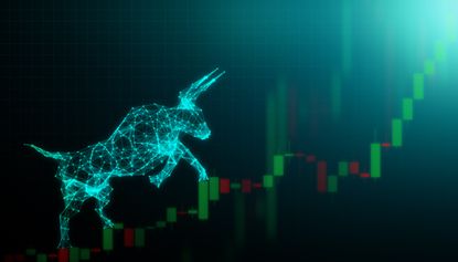 stocks rise bull market