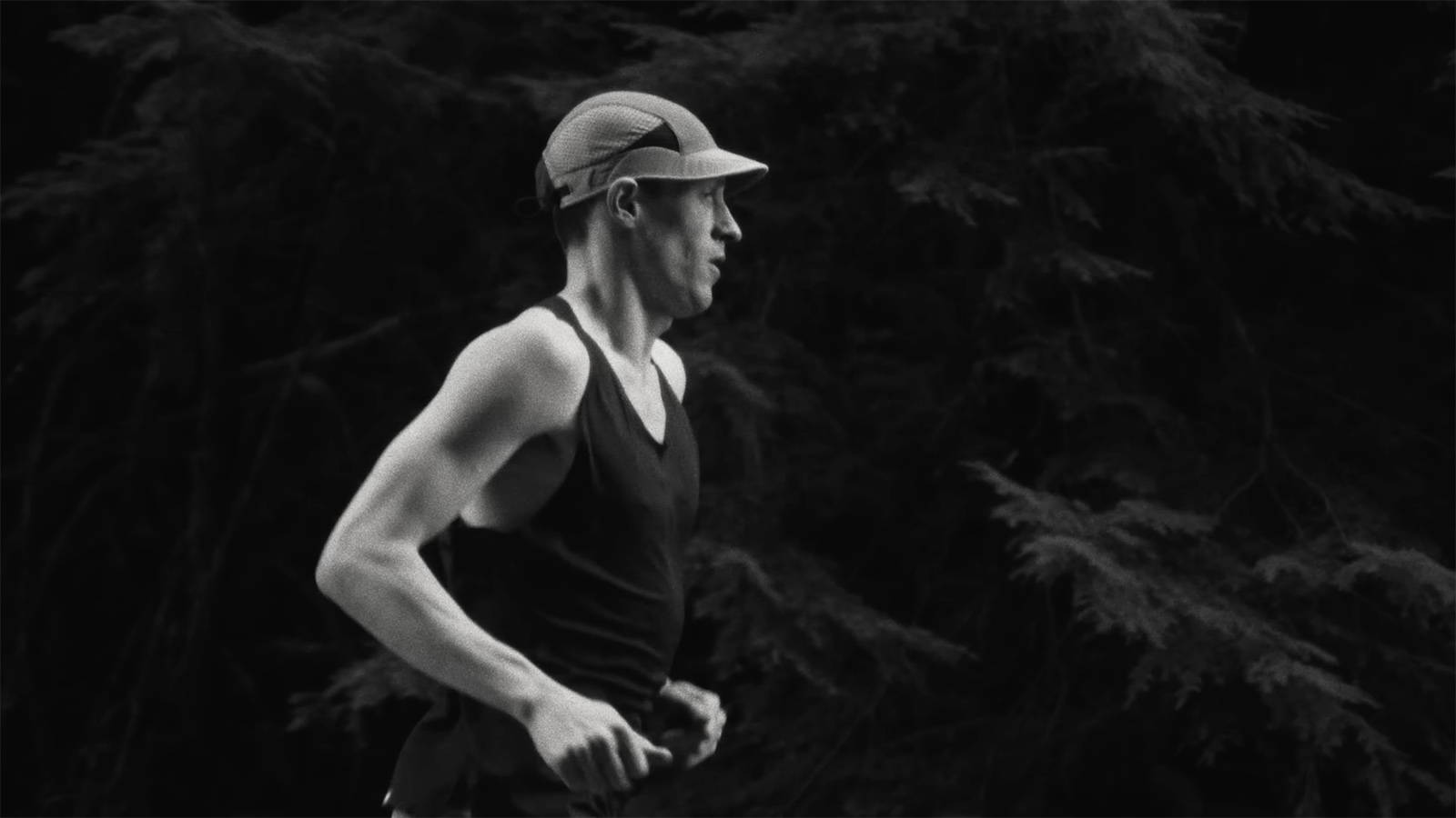 Ciele Icon Collection