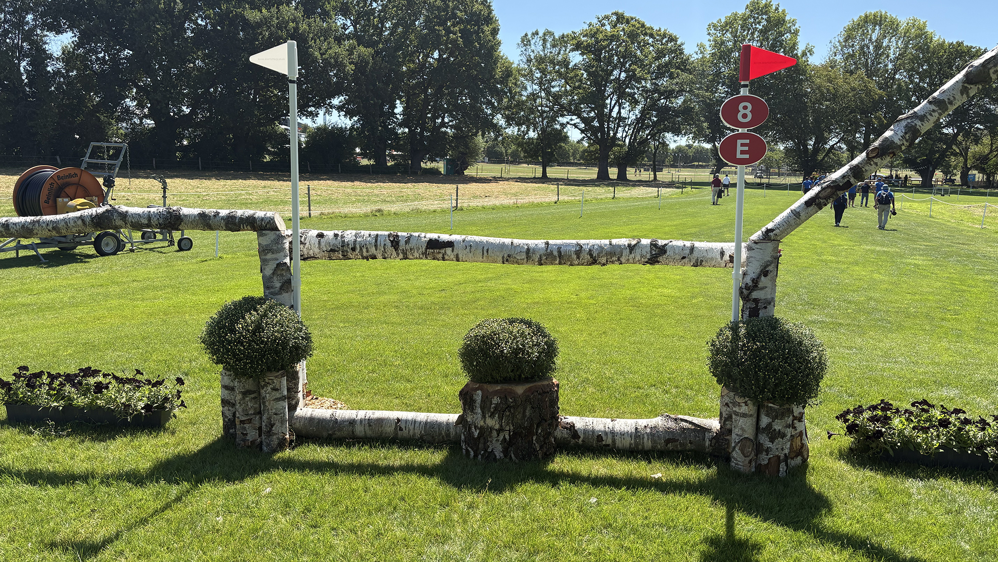 A silver birch rail on the eventing World Championships cross-country course