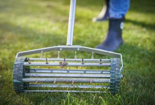 A person in blue waterproof boots aerating a lawn using a manual spike aerator