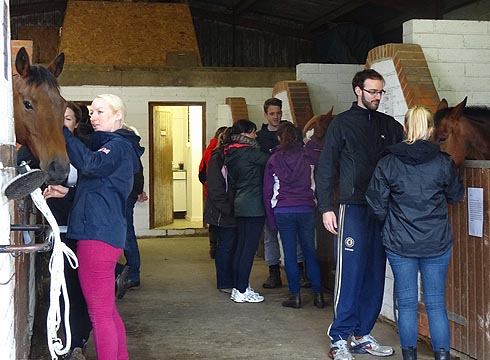 Sainsbury's young managers learn from Jason's horses