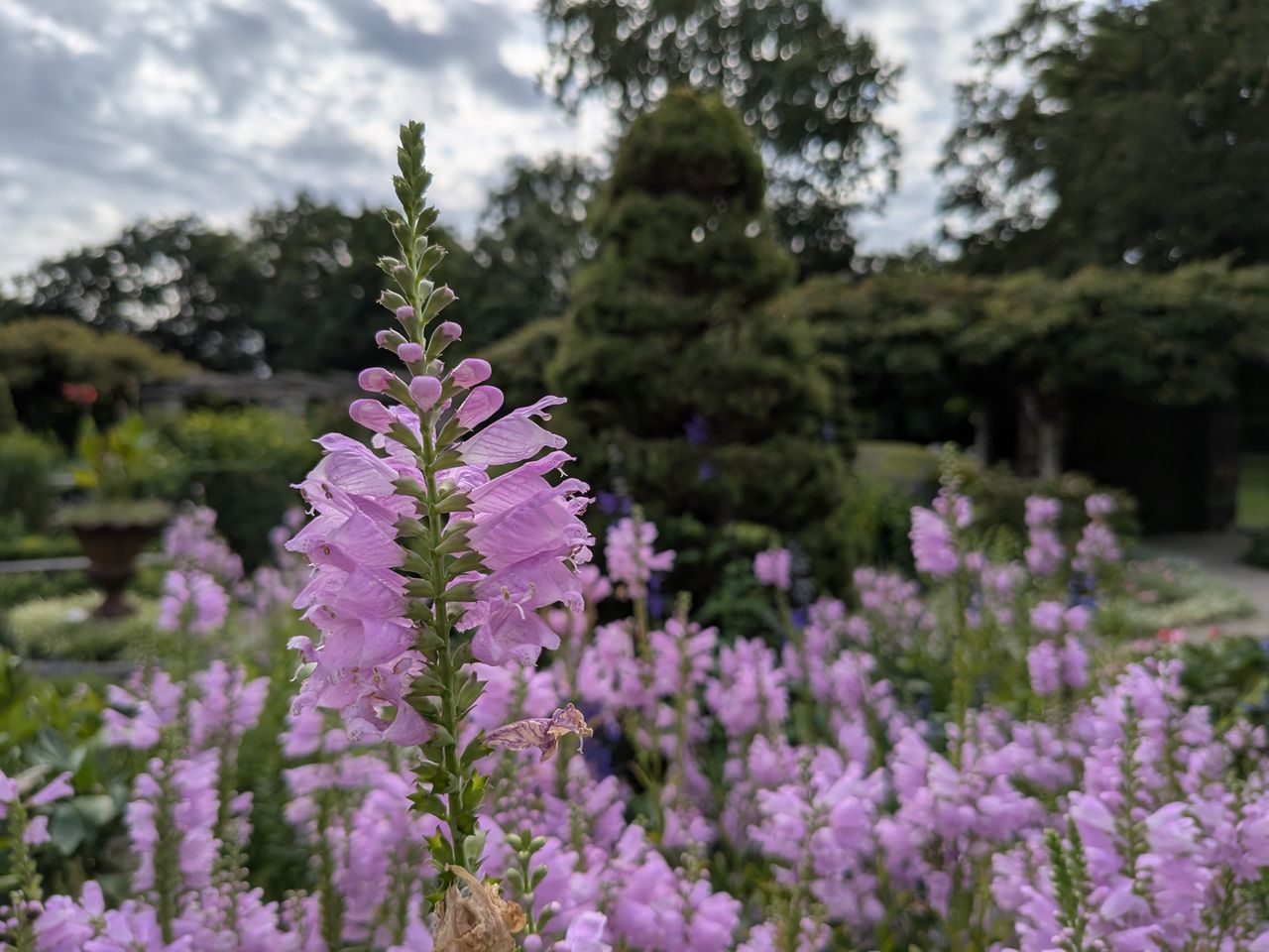Google Pixel 9 Pro Fold camera image samples