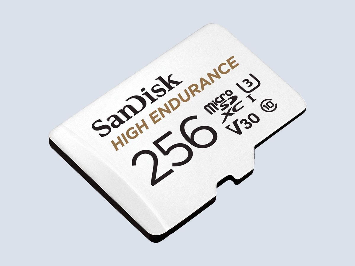 SanDisk 256GB MicroSD Card