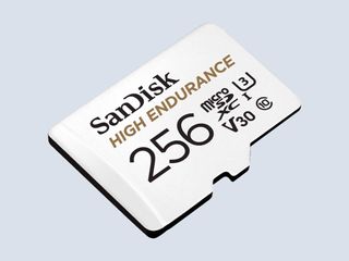 SanDisk 256GB MicroSD Card