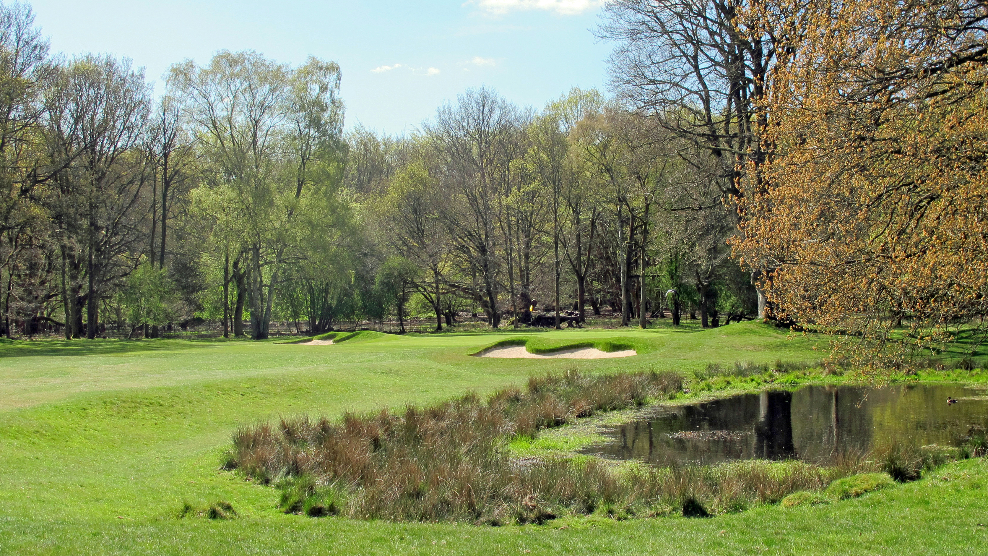 Ashridge - Hole 16 - RS