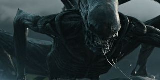 A Xenomorph in Alien: Covenant