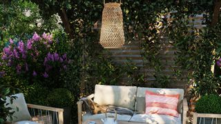 corner patio with climbing plants over wooden fence
