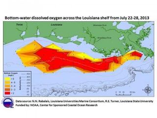 A map of the Gulf of Mexico dead zone, mapped during a research cruise from July 21 to July 28, 2013. It is larger than average but smaller than predicted. 