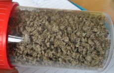 Used toilet paper from wastwater-treatment plants can be turned back into the cellulose it came from to ultimately produce electricity.