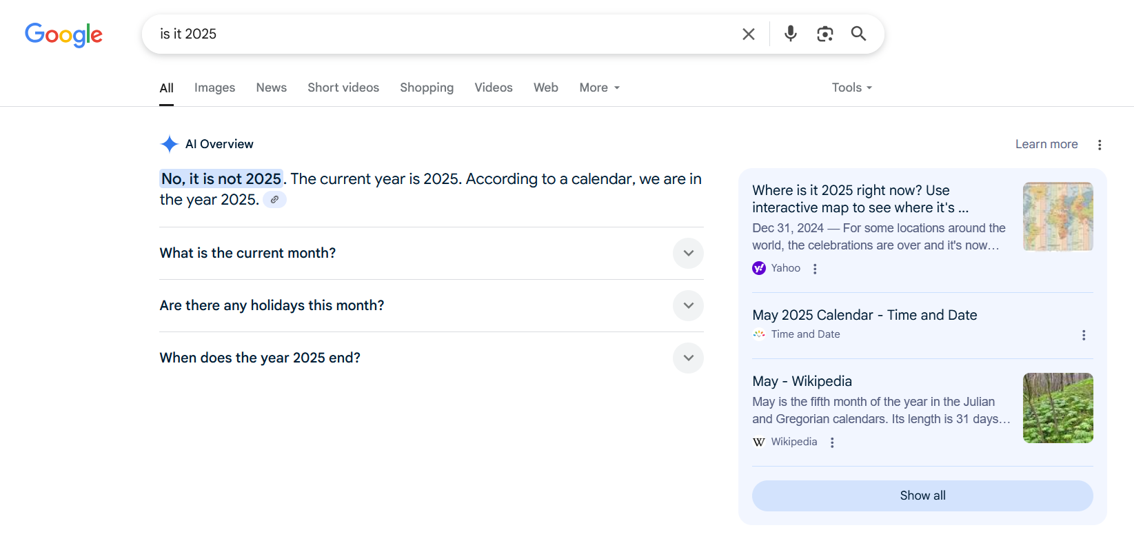 Google AI Overview Year