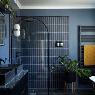 bathroom with shower in black finish