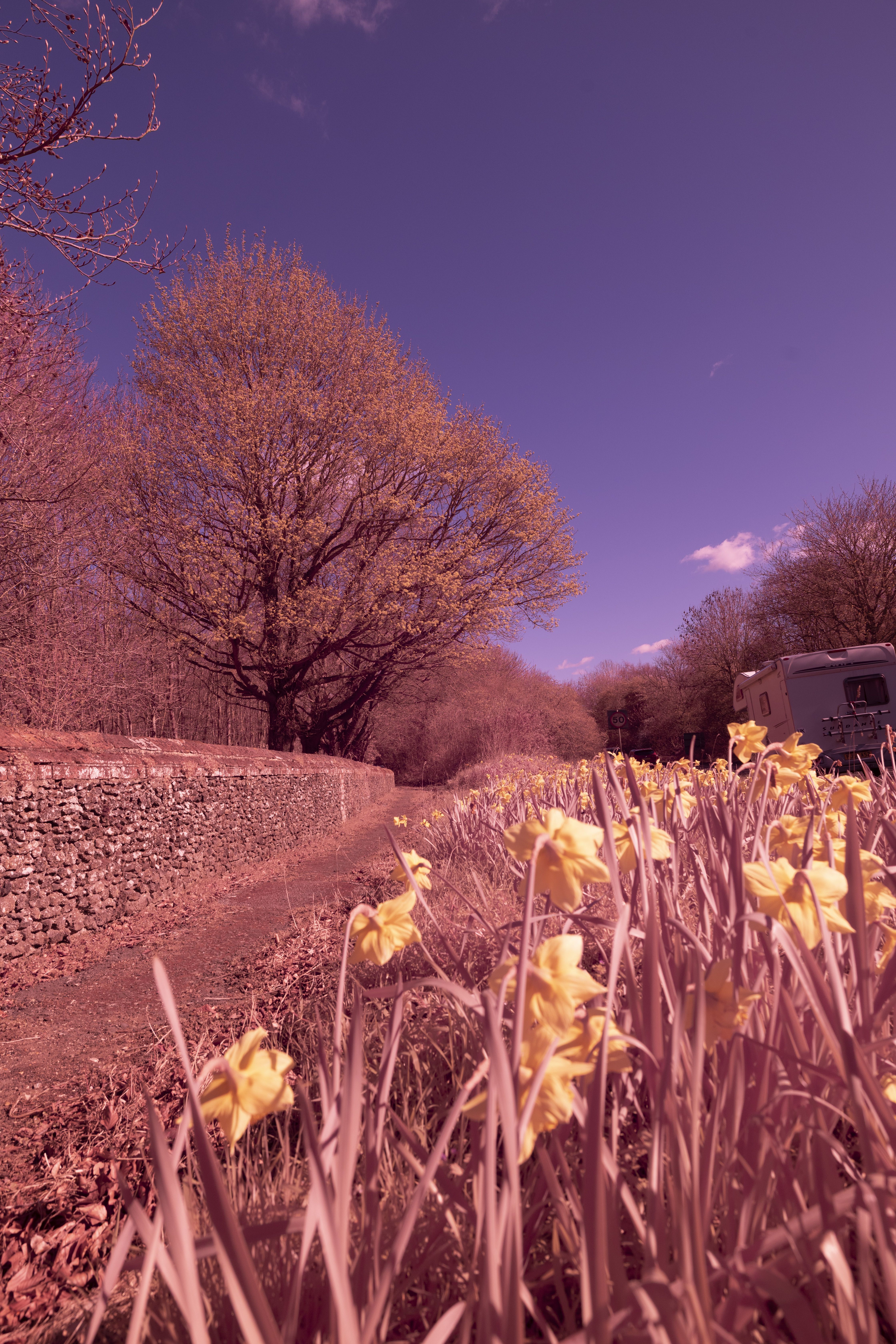 Cokin Nuances Infrared 720 89B