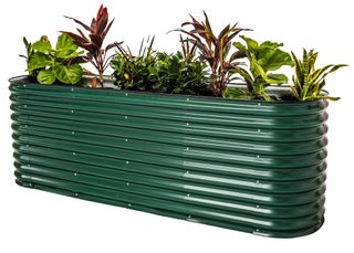 An extra tall Vego Raised Garden Bed in British Green