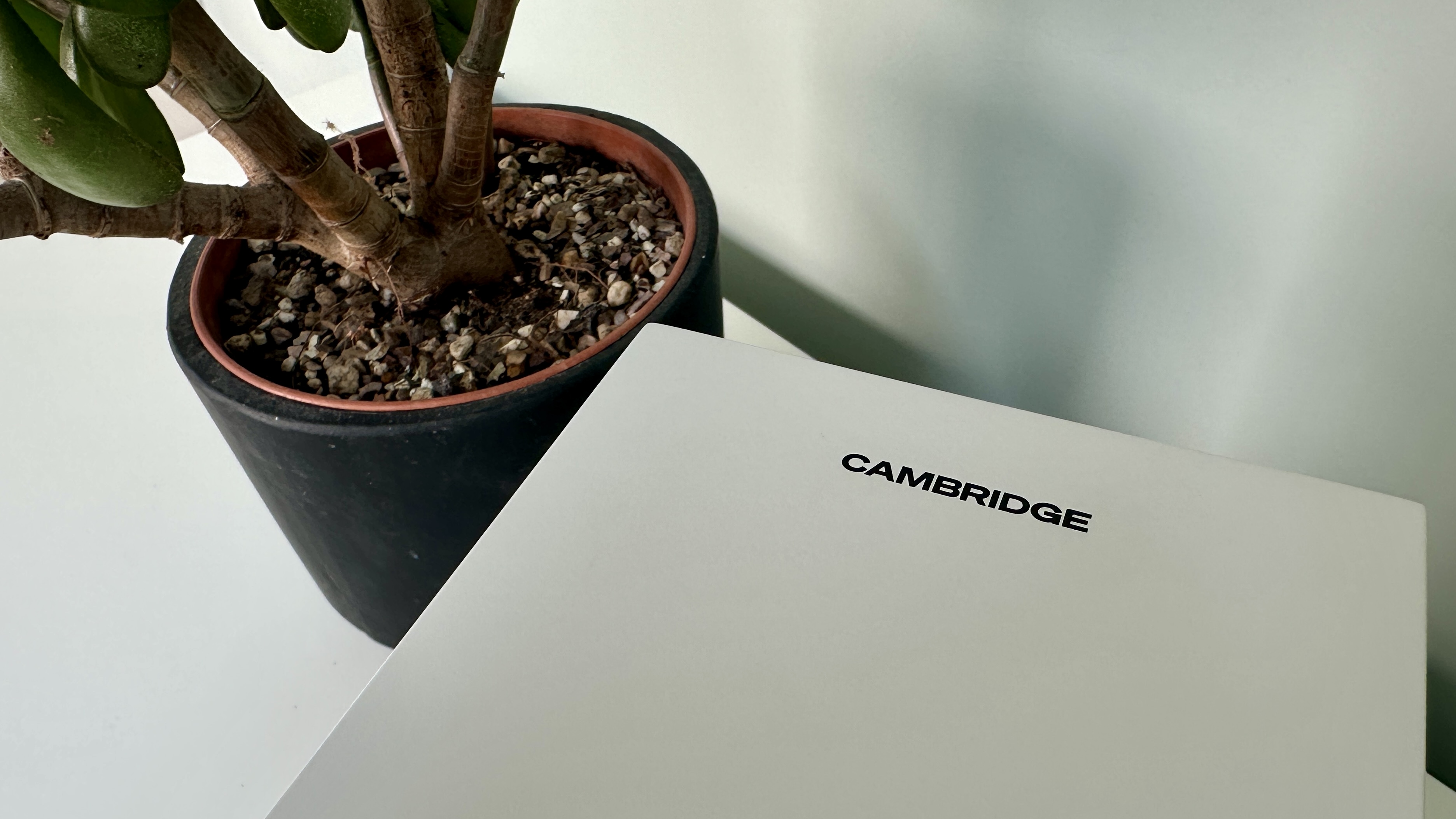 Top panel of a Cambridge L/R S active speaker, next to a plant pot.