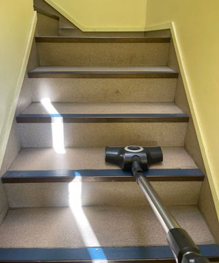 Miele Blizzard CX1 Cat and Dog vacuuming stairs at Bristol Animal Rescue Centre