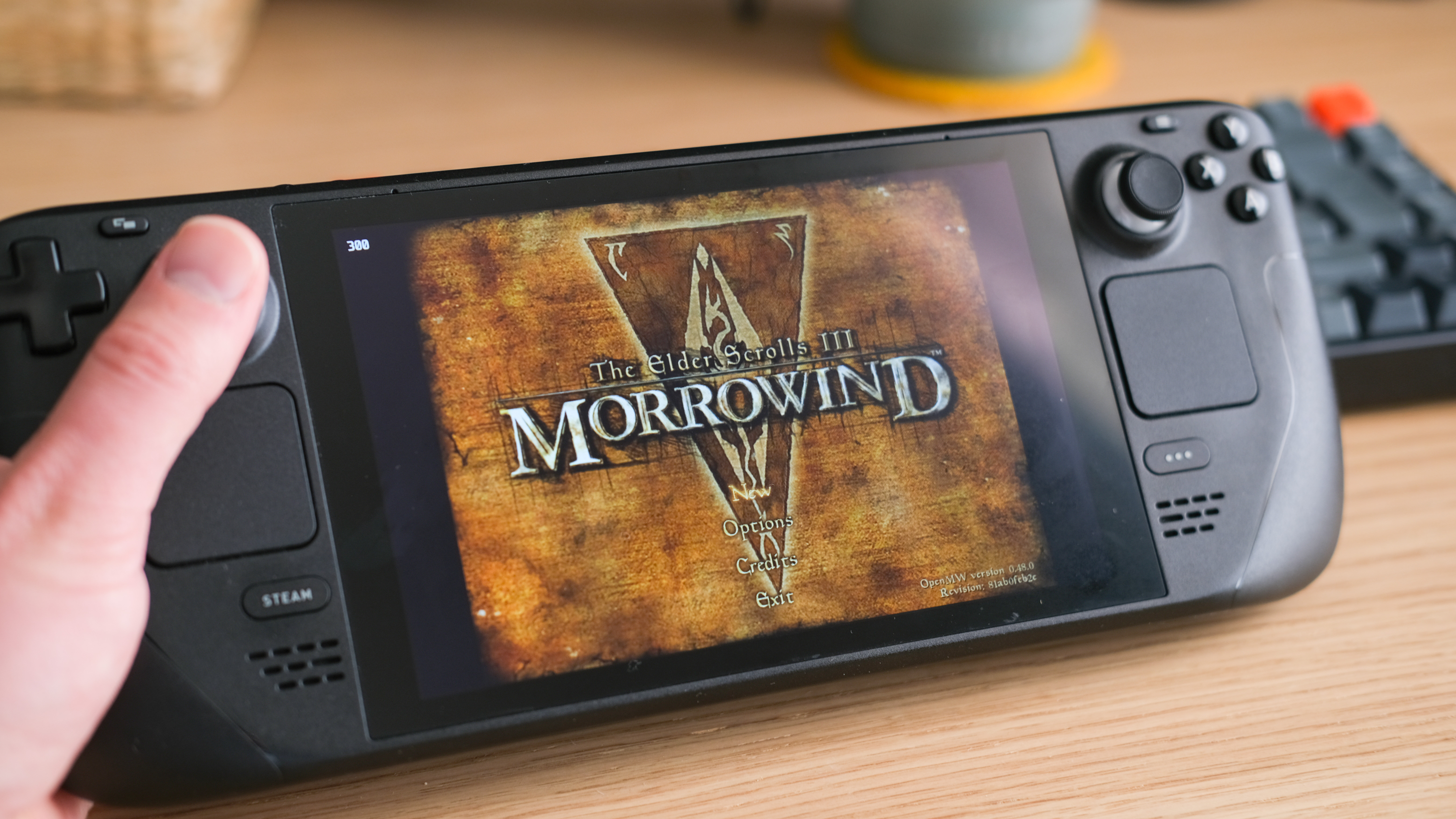 The Elder Scrolls III: Morrowind® Game of the Year Edition on Steam