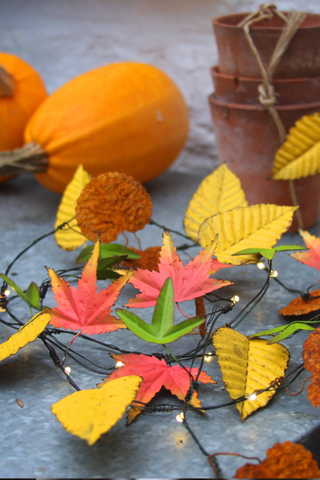 autumnal fairy lights with leaves, pumpkins and plant pot