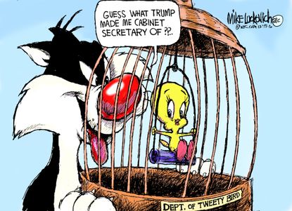 Political cartoon U.S. Donald Trump cabinet picks
