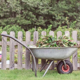 Wheelbarrow full of weeds by garden fence