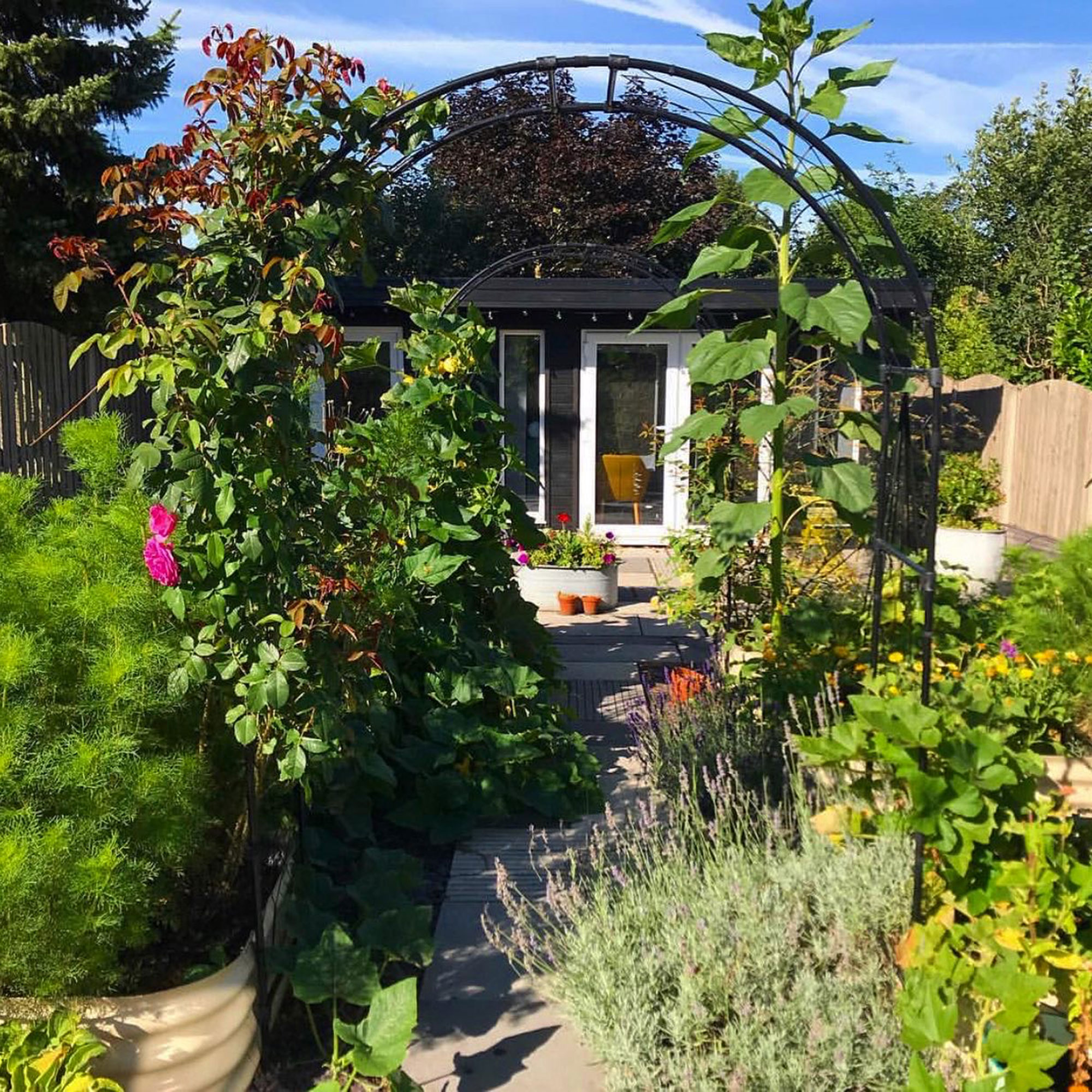 Garden with round arch covered in climbing plant going over path towards summerhouse