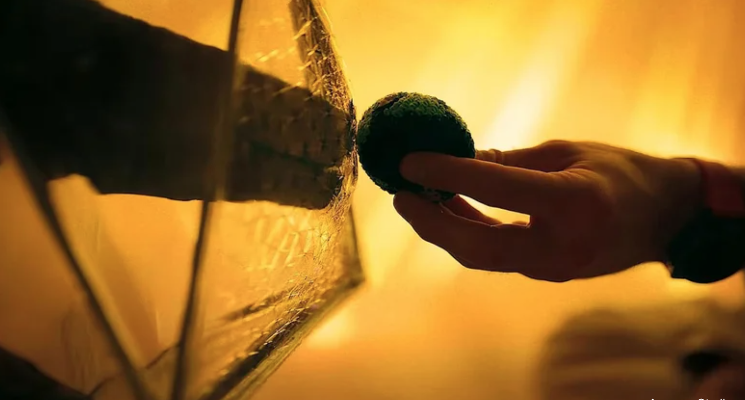 تلتقي يد أجنبية ويد بشرية