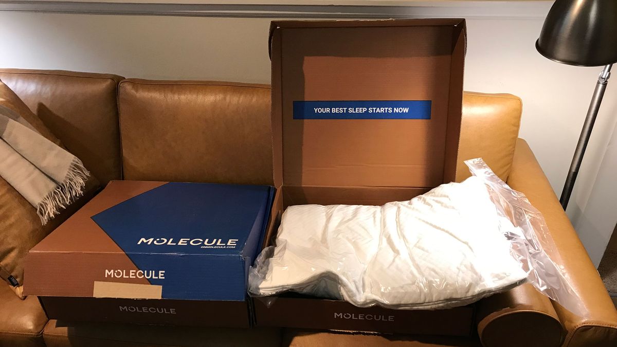 Molecule All-Season Pillow in its box
