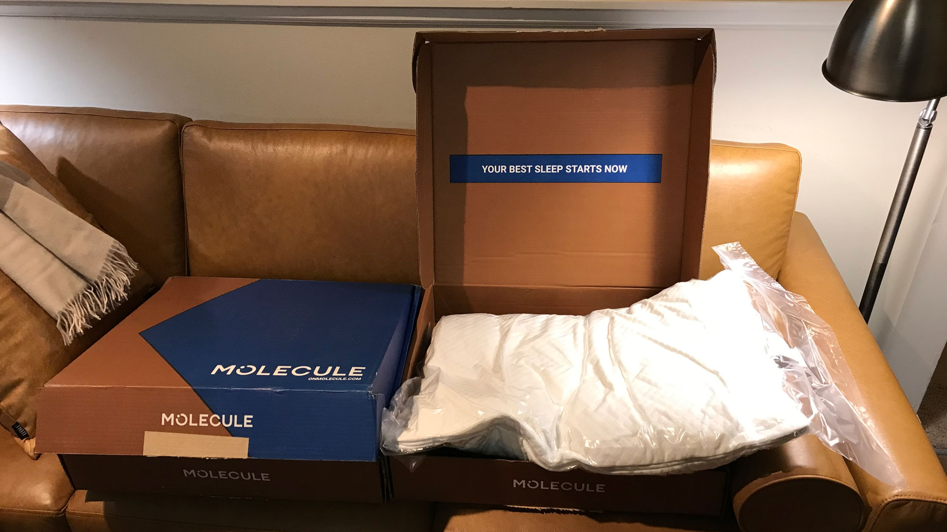 Molecule All-Season Pillow in its box