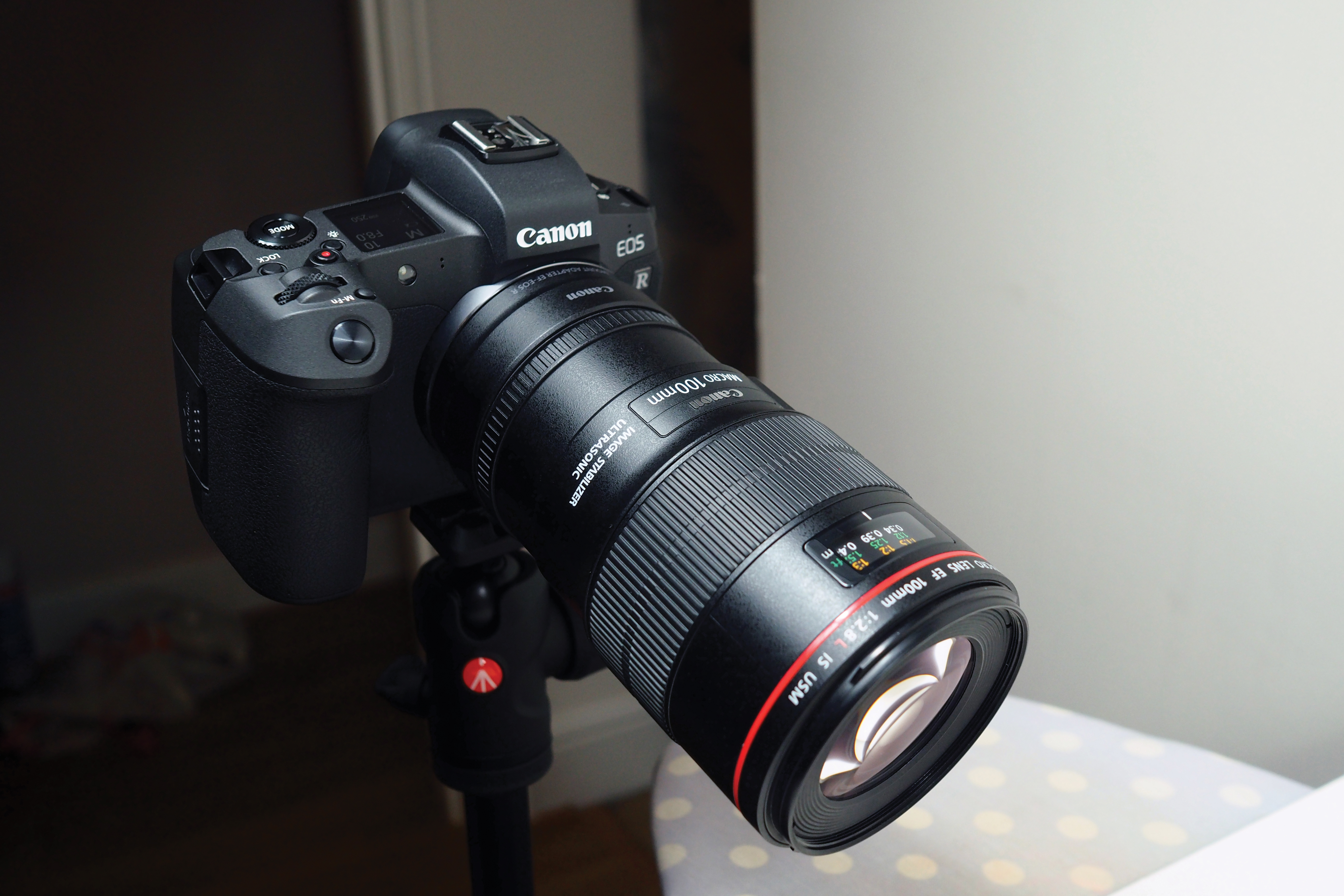 Canon EF 100mm f/2.8 L Macro