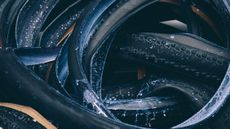 Tubeless tyres in a pile covered in sealant 