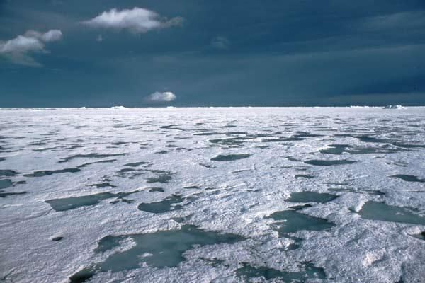 antarctic-sea-ice-100617-02